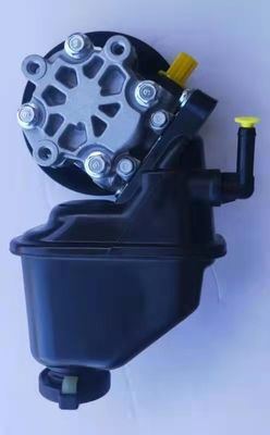 95048324 448188303 135811202 पावर स्टीयरिंग पंप के लिए 2006-2011 Chevrolet Captiva के साथ 1
